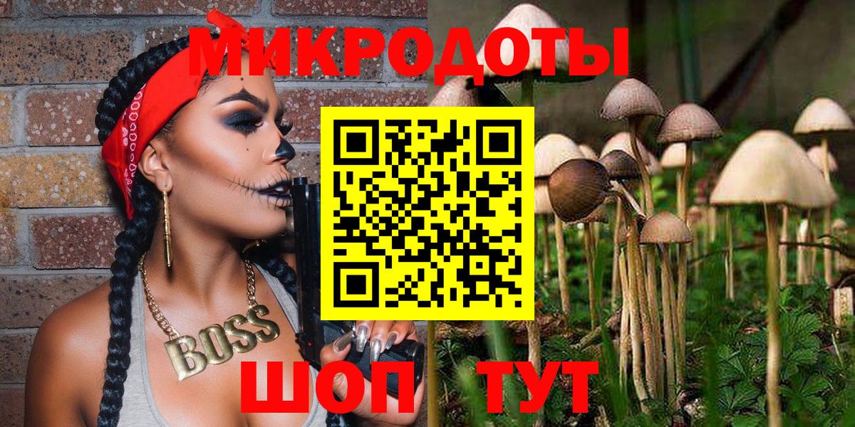 Псилоцибиновые грибы Cubensis Электросталь