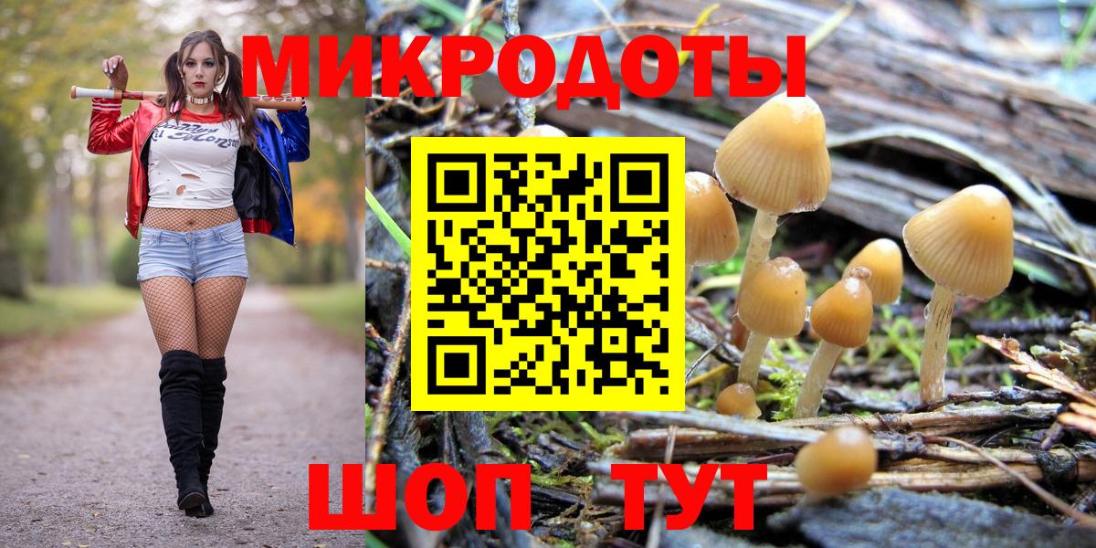 цена наркотик  Псилоцибиновые грибы Psilocybine cubensis  Вход с VPN  Электросталь 